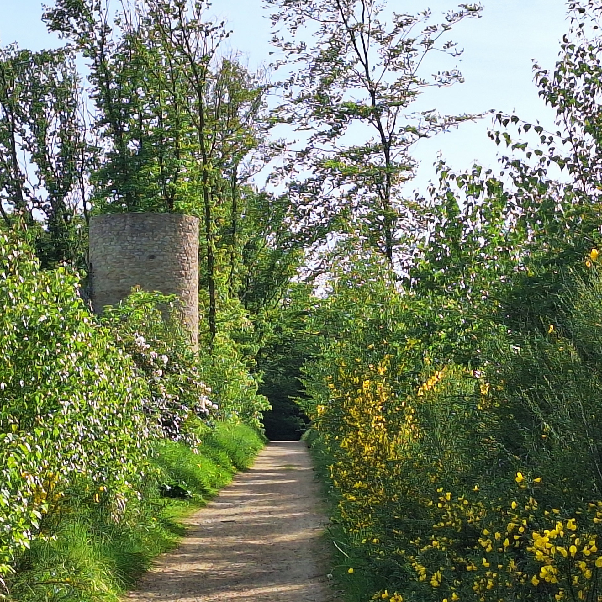 Landschaftsgarten Kammerbusch